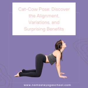 Read more about the article Cat-Cow Pose: Discover the Alignment, Variations, and Surprising Benefits