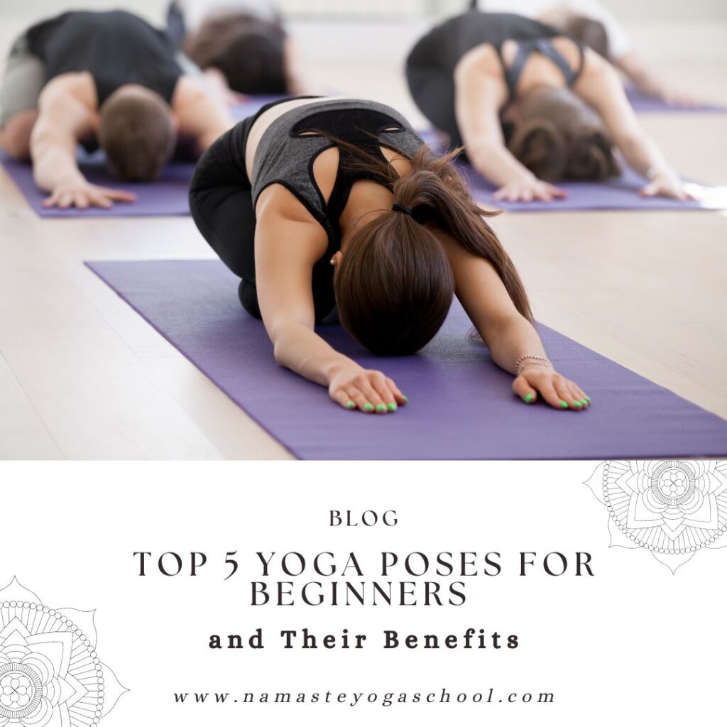 Top 5 yoga pose for beginners