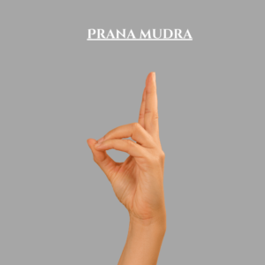 Prana mudra images