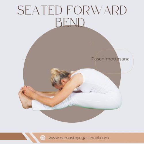 Master the 10 Benefits of Seated Forward Bend (paschimottanasana )